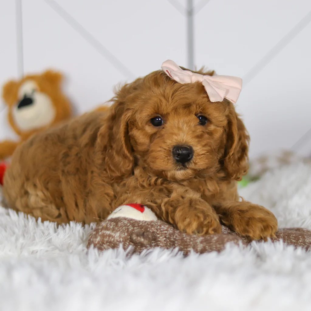 Ellie