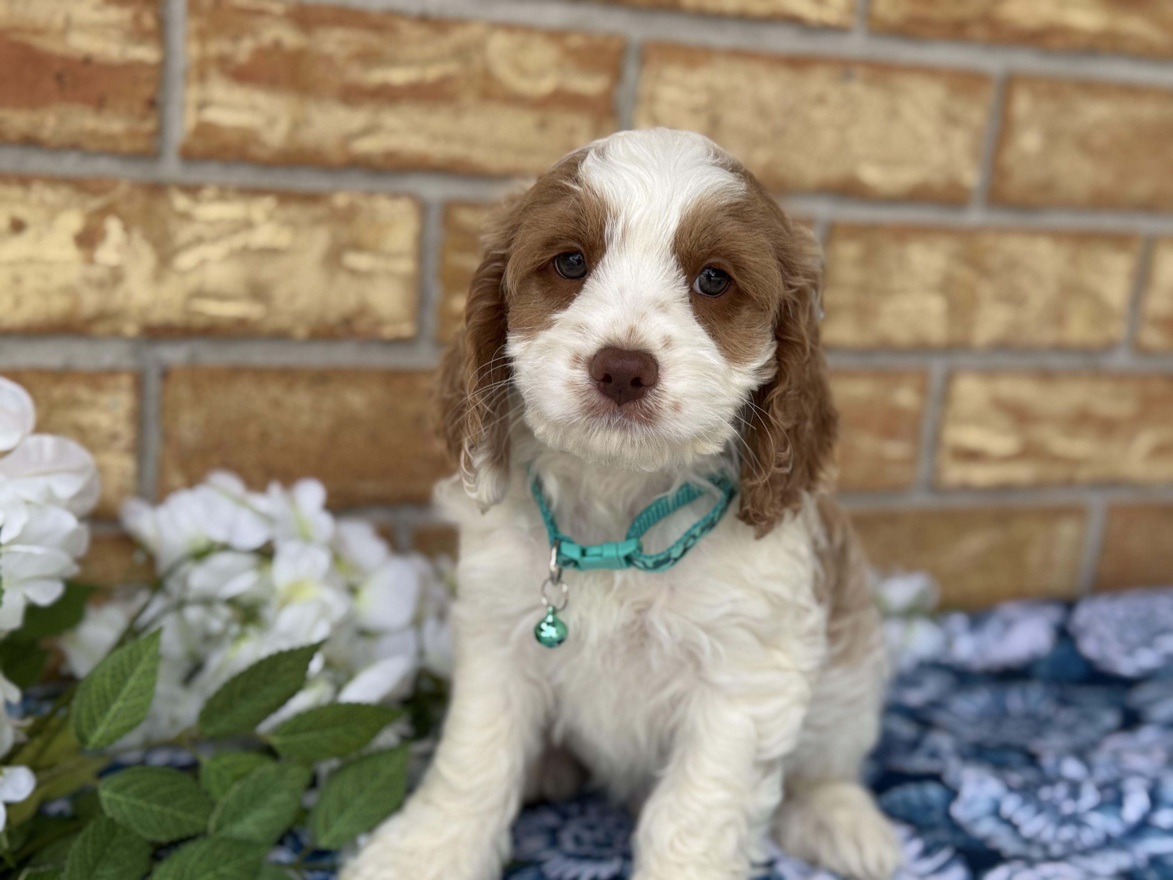 Max