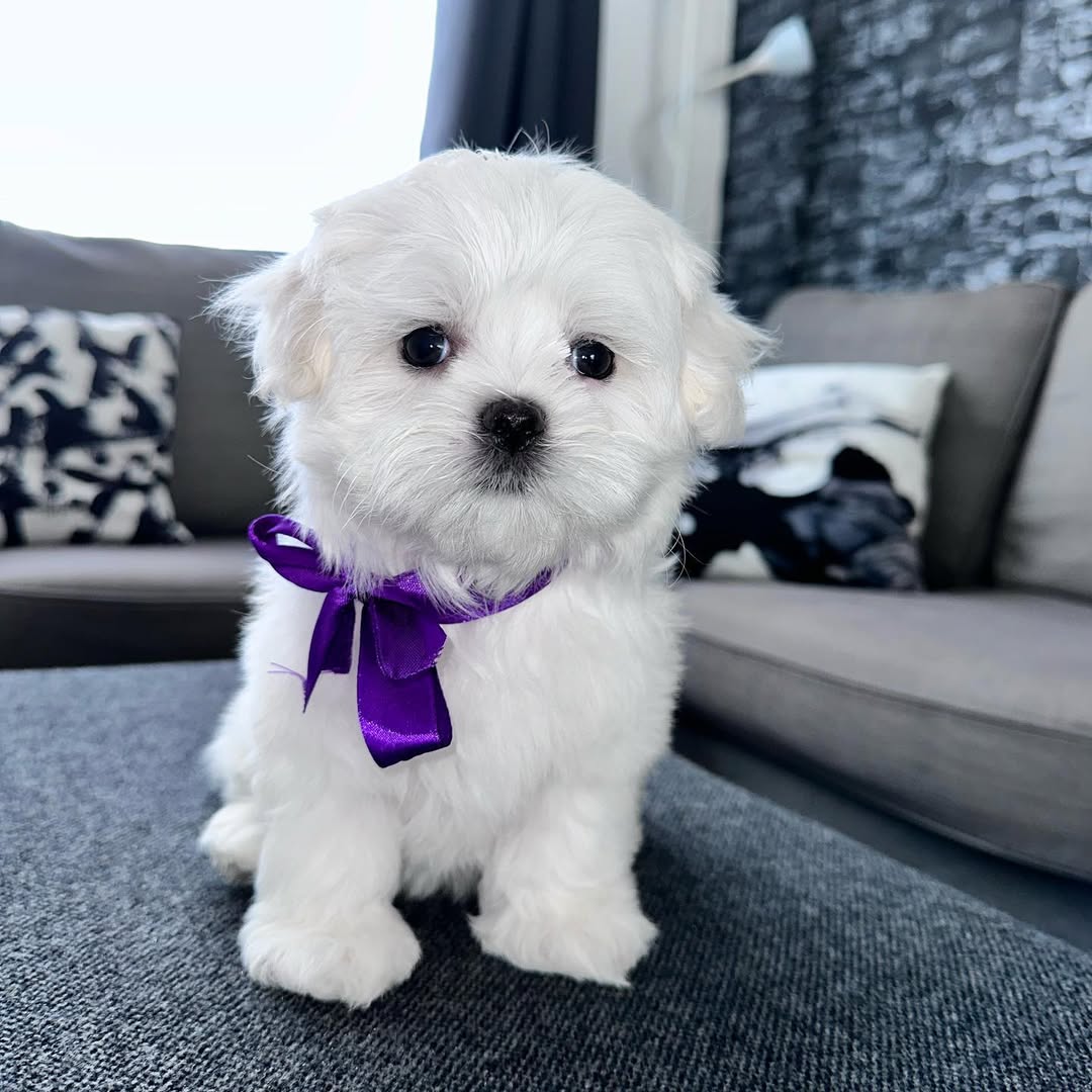 Ruby